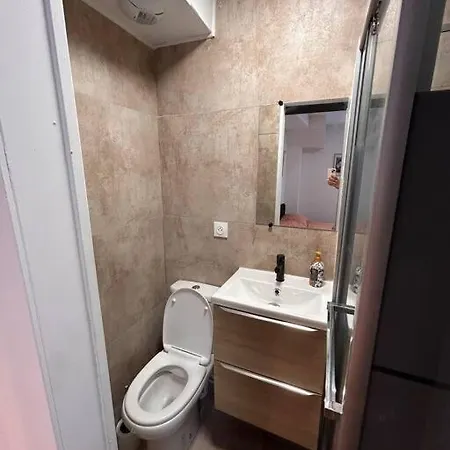 La Ptite Albi Apartament *